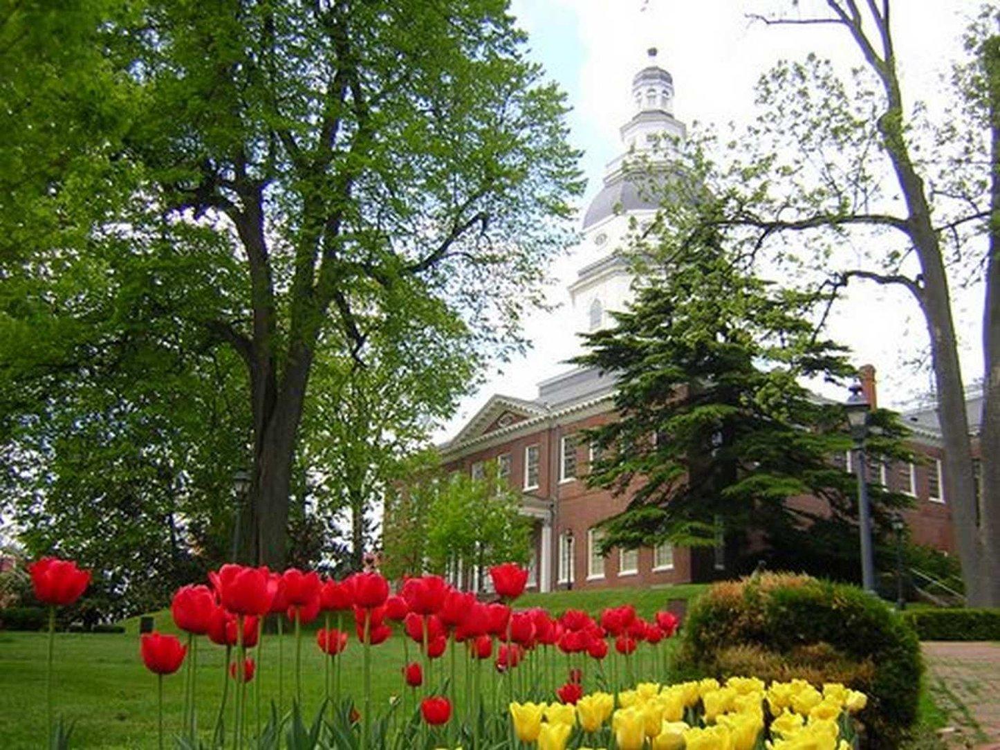 Hampton Inn & Suites Annapolis Bagian luar foto